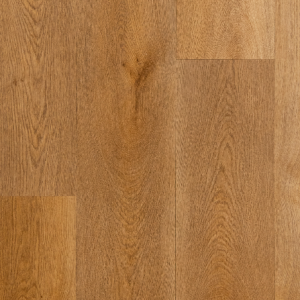 Plank Persia